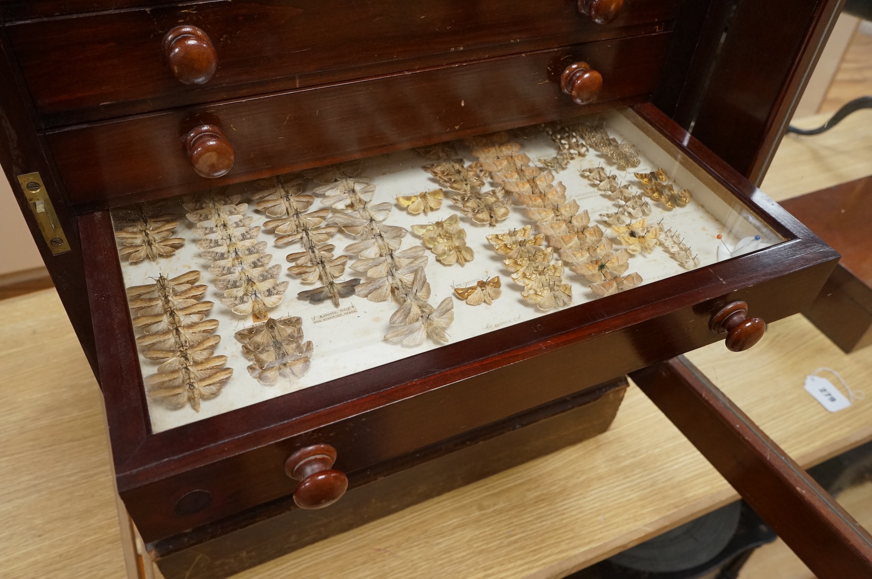 A Victorian ten drawer mahogany collector’s cabinet, containing a large selection of taxidermy moths, the contents checked against the UK register, each drawer with glazed cover, with a lockable glazed main door and orig